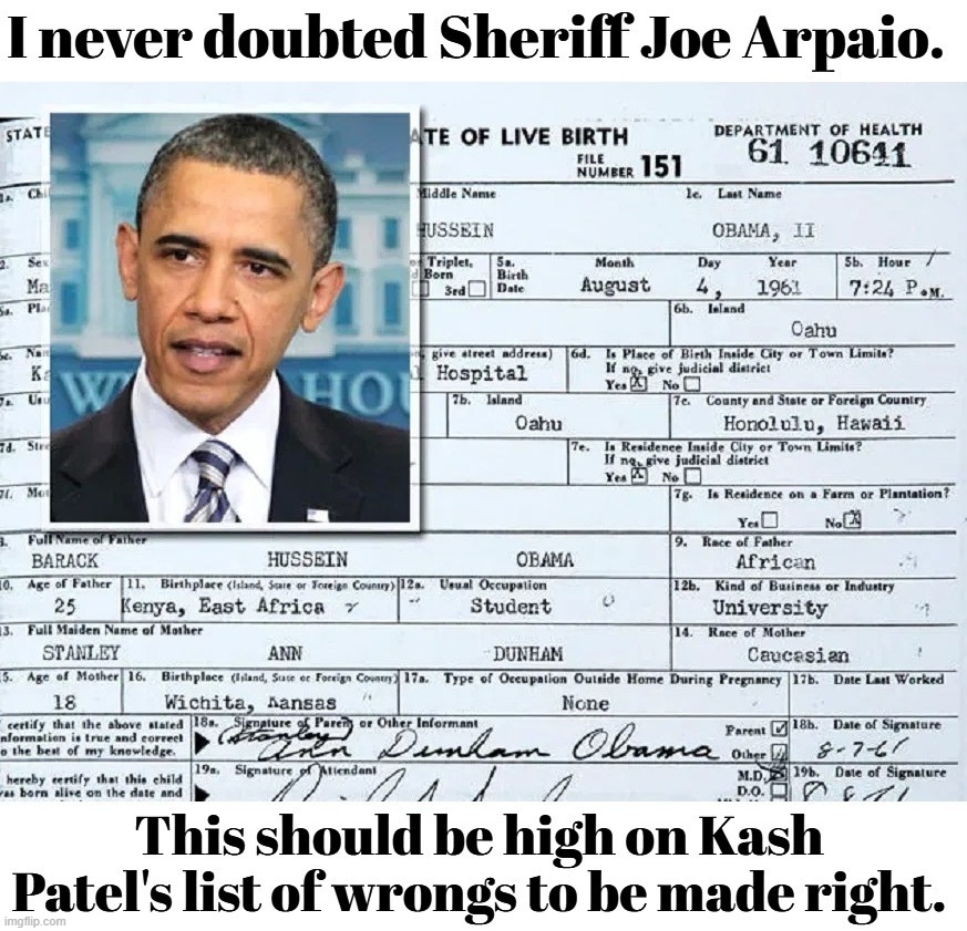 I never doubted Sheriff Joe Arpaio. | image tagged in sheriff joe arpaio,barack obama,birth certificate,manchurian candidate,sedition,treason | made w/ Imgflip meme maker