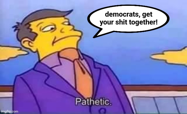 skinner pathetic | democrats, get
your shit together! | image tagged in skinner pathetic | made w/ Imgflip meme maker