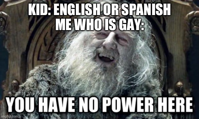 Lol | KID: ENGLISH OR SPANISH
ME WHO IS GAY: | image tagged in you have no power here,harry potter | made w/ Imgflip meme maker