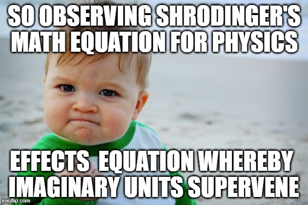 practically speaking 'i' is a reverse Cheshire Cat | SO OBSERVING SHRODINGER'S MATH EQUATION FOR PHYSICS; EFFECTS  EQUATION WHEREBY 
IMAGINARY UNITS SUPERVENE | image tagged in memes,success kid original,physics,humble,thursday,______ | made w/ Imgflip meme maker