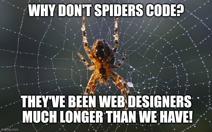 A question about spiders | WHY DON'T SPIDERS CODE? THEY'VE BEEN WEB DESIGNERS
 MUCH LONGER THAN WE HAVE! | image tagged in wordplay,puns,spiders,web designers,programming,coding | made w/ Imgflip meme maker