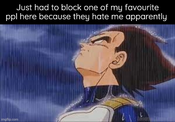 sad vegeta | Just had to block one of my favourite ppl here because they hate me apparently | image tagged in sad vegeta | made w/ Imgflip meme maker