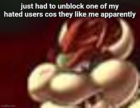 bowser fart cropped | just had to unblock one of my hated users cos they like me apparently | image tagged in the joke here is,no one likes me | made w/ Imgflip meme maker