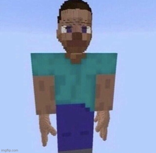 Steve? | image tagged in steve | made w/ Imgflip meme maker