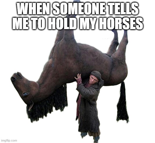 hi | WHEN SOMEONE TELLS ME TO HOLD MY HORSES | image tagged in hi,eyeroll,ice cream | made w/ Imgflip meme maker