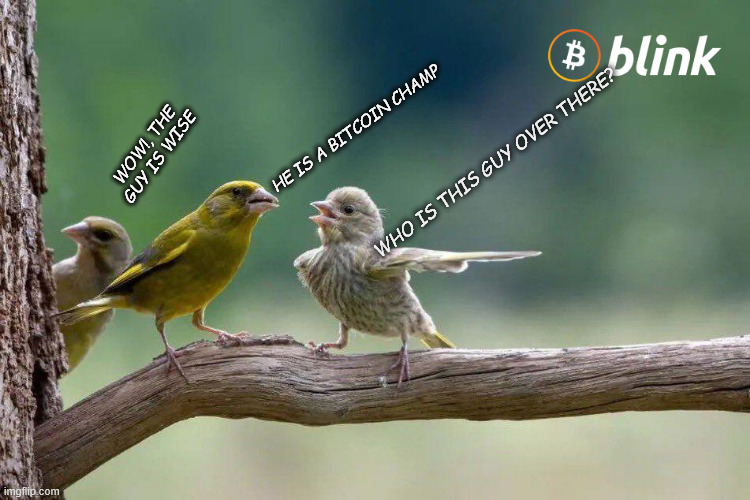 Blink meme contest 01 | HE IS A BITCOIN CHAMP; WOW!, THE GUY IS WISE; WHO IS THIS GUY OVER THERE? | image tagged in blink meme contest 01 | made w/ Imgflip meme maker