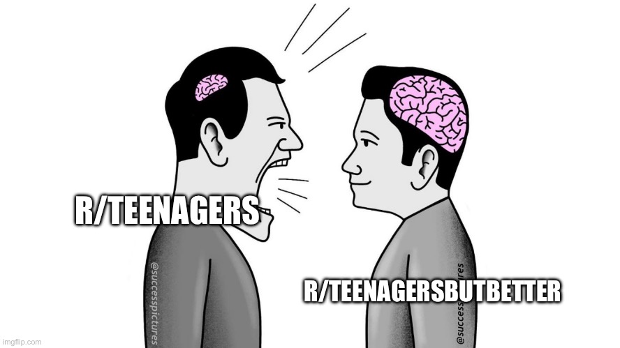 Am I right? | R/TEENAGERS; R/TEENAGERSBUTBETTER | image tagged in small brain yelling at big brain | made w/ Imgflip meme maker