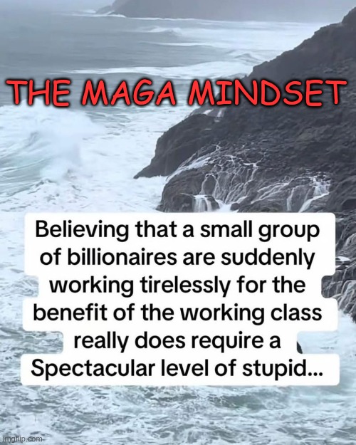 The MAGA Mindset | THE MAGA MINDSET | image tagged in trump,gop,maga,nazi,fascist,stupidity | made w/ Imgflip meme maker