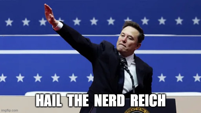 The Nerd Reich | HAIL  THE  NERD  REICH | image tagged in elon musk | made w/ Imgflip meme maker