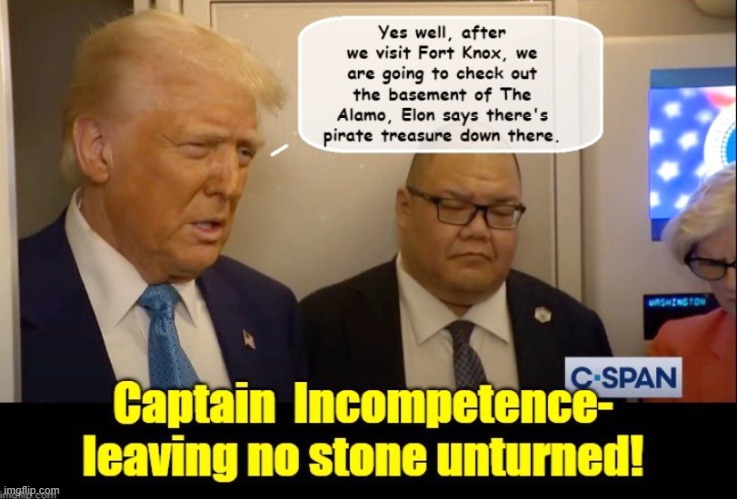 GOVERNMENT WASTE IN ACTION.... | image tagged in donald trump the clown,donald trump is an idiot,trump is a moron,elon musk | made w/ Imgflip meme maker