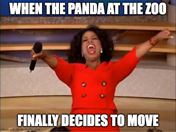 Oprah You Get A | WHEN THE PANDA AT THE ZOO; FINALLY DECIDES TO MOVE | image tagged in memes,oprah you get a | made w/ Imgflip meme maker