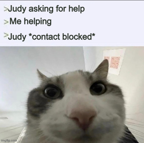 cyberpunk the clouds problem | Judy asking for help; Me helping; Judy *contact blocked* | image tagged in cat looks inside | made w/ Imgflip meme maker