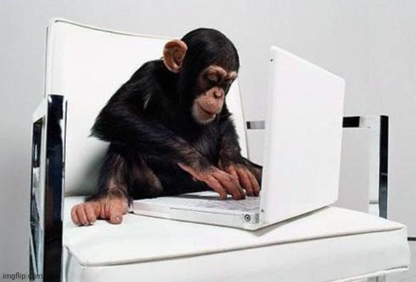 Monkey computer | image tagged in monkey computer | made w/ Imgflip meme maker