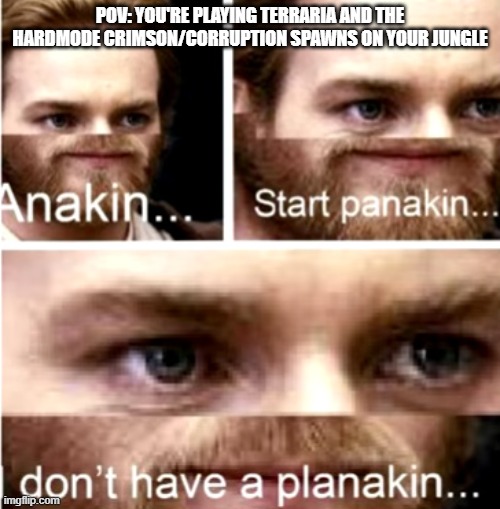 this ALWAYS happens and ALWAYS sucks when it does | POV: YOU'RE PLAYING TERRARIA AND THE HARDMODE CRIMSON/CORRUPTION SPAWNS ON YOUR JUNGLE | image tagged in anakin start panakin | made w/ Imgflip meme maker