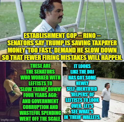 Yes, you corrupt RINO scum; continue outing yourselves.  It's very helpful! | ESTABLISHMENT GOP -- RINO -- SENATORS SAY TRUMP IS SAVING TAXPAYER MONEY ‘TOO FAST,’ DEMAND HE SLOW DOWN SO THAT FEWER FIRING MISTAKES WILL HAPPEN. THESE ARE THE SENATORS WHO WORKED WITH LEFTISTS TO 'SLOW TRUMP DOWN' FOUR YEARS AGO; AND GOVERNMENT CORRUPTION AND WASTEFUL SPENDING WENT OFF THE SCALE. IT LOOKS LIKE THE DOJ HAS GOT SOME NEWLY SELF-IDENTIFIED  'HELPERS' OF LEFTISTS TO LOOK OVER.  LET'S SEE WHAT'S IN 'THEIR' WALLETS. | image tagged in sad pablo escobar | made w/ Imgflip meme maker