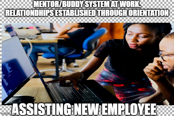 Mentor/Buddy system | MENTOR/BUDDY SYSTEM AT WORK. RELATIONDHIPS ESTABLISHED THROUGH ORIENTATION; ASSISTING NEW EMPLOYEE | image tagged in free | made w/ Imgflip meme maker