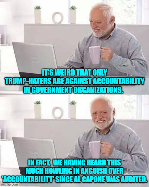It's almost as if the collective Political Left were AGAINST the entire concept of accountability. | IT'S WEIRD THAT ONLY TRUMP-HATERS ARE AGAINST ACCOUNTABILITY IN GOVERNMENT ORGANIZATIONS. IN FACT,  WE HAVING HEARD THIS MUCH HOWLING IN ANGUISH OVER 'ACCOUNTABILITY' SINCE AL CAPONE WAS AUDITED. | image tagged in hide the pain harold | made w/ Imgflip meme maker