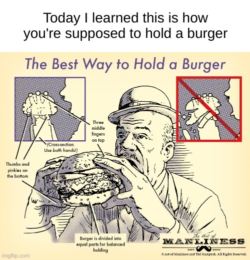 never knew | Today I learned this is how you're supposed to hold a burger | image tagged in burger,hamburger,cheeseburger,bacon,lettuce,tomato | made w/ Imgflip meme maker