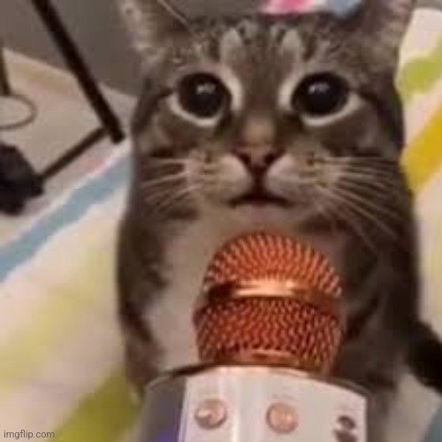 cat w microphone | image tagged in cat w microphone | made w/ Imgflip meme maker