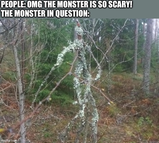 It is a literal tree. What’s so scary about a tree? | PEOPLE: OMG THE MONSTER IS SO SCARY!
THE MONSTER IN QUESTION: | image tagged in tree,monster,funny,memes | made w/ Imgflip meme maker