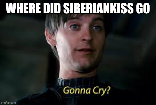 Gonna Cry? | WHERE DID SIBERIANKISS GO | image tagged in gonna cry | made w/ Imgflip meme maker