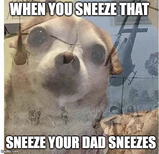 PTSD Chihuahua | WHEN YOU SNEEZE THAT; SNEEZE YOUR DAD SNEEZES | image tagged in ptsd chihuahua | made w/ Imgflip meme maker