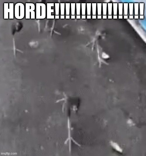 HORDE!!!!!!!!!!!!!!!!! | made w/ Imgflip meme maker