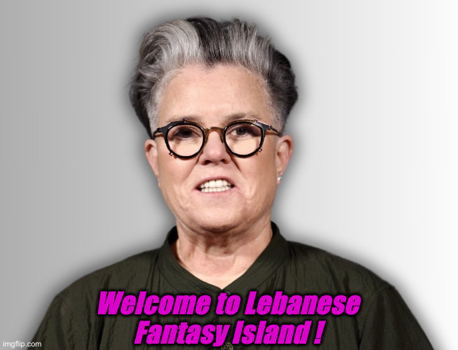 A Post On The Other Stream Said DEI Was Only Wal Mart Workers | Welcome to Lebanese Fantasy Island ! | image tagged in rosie o'donnell,political meme,politics,funny memes,funny,hilarious memes | made w/ Imgflip meme maker