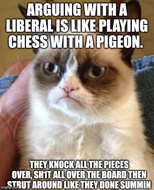 Liberal Chess Pigeon Aoc trans | ARGUING WITH A LIBERAL IS LIKE PLAYING CHESS WITH A PIGEON. THEY KNOCK ALL THE PIECES OVER, SH1T ALL OVER THE BOARD THEN STRUT AROUND LIKE THEY DONE SUMMIN | image tagged in memes,grumpy cat | made w/ Imgflip meme maker