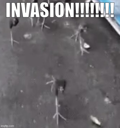 i updated the image | INVASION!!!!!!!! | made w/ Imgflip meme maker