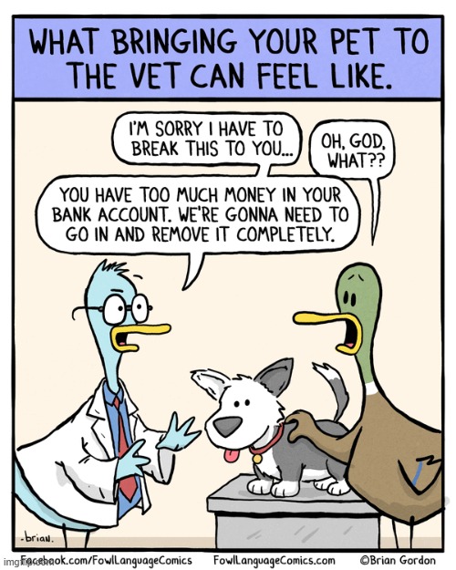 Fowl Language | image tagged in comics | made w/ Imgflip meme maker