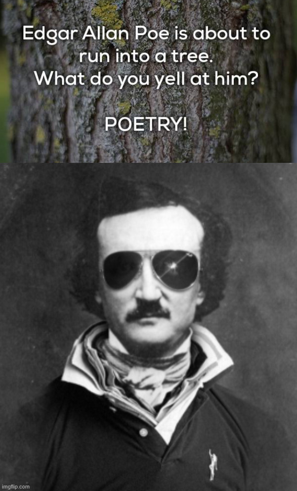 Pun time | image tagged in edgar allen poe | made w/ Imgflip meme maker