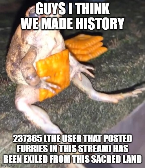 did we do it? | GUYS I THINK WE MADE HISTORY; 237365 (THE USER THAT POSTED FURRIES IN THIS STREAM) HAS BEEN EXILED FROM THIS SACRED LAND | image tagged in cheez-it frog | made w/ Imgflip meme maker