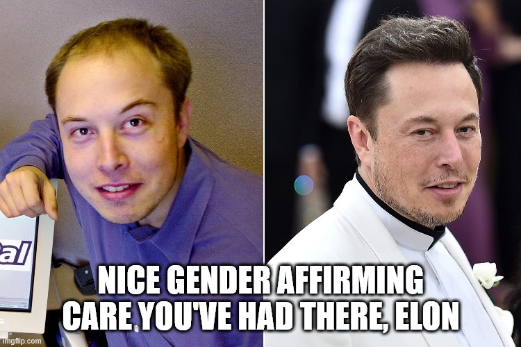 NICE GENDER AFFIRMING CARE YOU'VE HAD THERE, ELON | image tagged in elon musk,gender identity | made w/ Imgflip meme maker