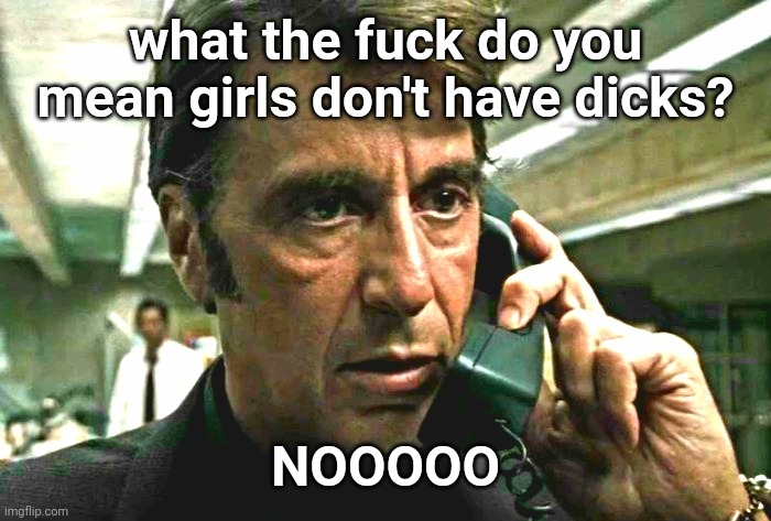 (this is a joke, they do) | what the fuck do you mean girls don't have dicks? NOOOOO | image tagged in al pacino concerned on phone | made w/ Imgflip meme maker