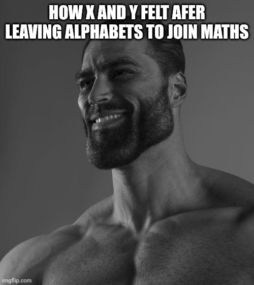 Sigma Male | HOW X AND Y FELT AFER LEAVING ALPHABETS TO JOIN MATHS | image tagged in sigma male | made w/ Imgflip meme maker