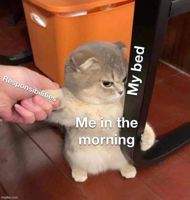 Just want to stay in bed | image tagged in life | made w/ Imgflip meme maker