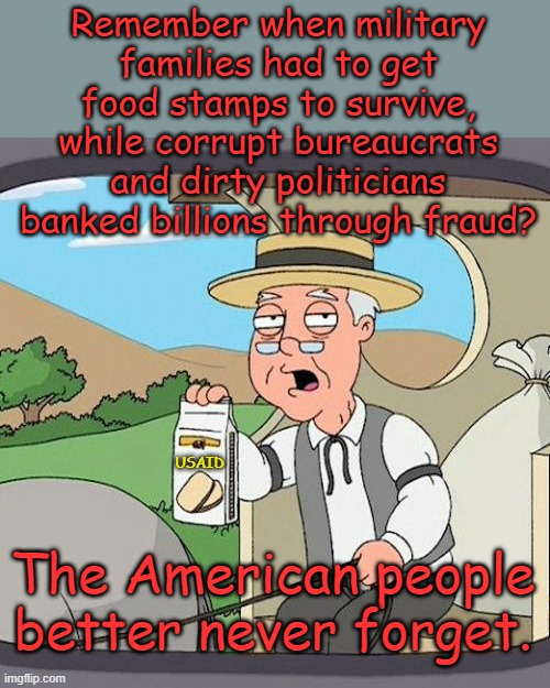 We won't be able to clean out all the corruption, so we need to make them pay their fair share... | Remember when military families had to get food stamps to survive, while corrupt bureaucrats and dirty politicians banked billions through fraud? USAID; The American people better never forget. | image tagged in memes,pepperidge farm remembers | made w/ Imgflip meme maker