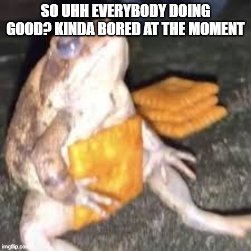 cheez it | SO UHH EVERYBODY DOING GOOD? KINDA BORED AT THE MOMENT | image tagged in cheese | made w/ Imgflip meme maker