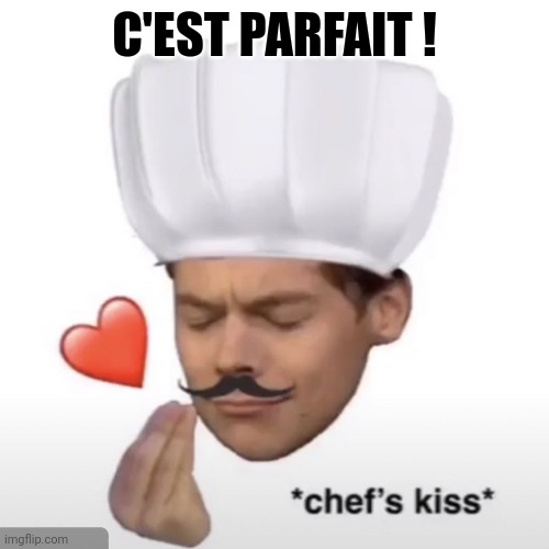 Chef’s kiss | C'EST PARFAIT ! | image tagged in chef s kiss | made w/ Imgflip meme maker