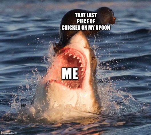 So true | THAT LAST PIECE OF CHICKEN ON MY SPOON; ME | image tagged in memes,travelonshark | made w/ Imgflip meme maker