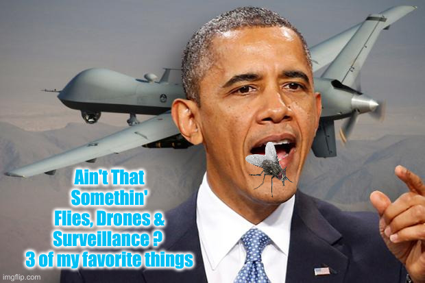 Now We Will Use The Tech Correctly | Ain't That Somethin'
Flies, Drones & Surveillance ? 
3 of my favorite things | image tagged in obama drone,political meme,politics,funny memes,funny | made w/ Imgflip meme maker