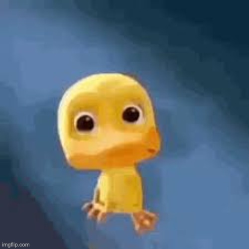 Crying duck | image tagged in crying duck | made w/ Imgflip meme maker