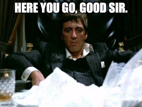 Scarface Cocaine | HERE YOU GO, GOOD SIR. | image tagged in scarface cocaine | made w/ Imgflip meme maker