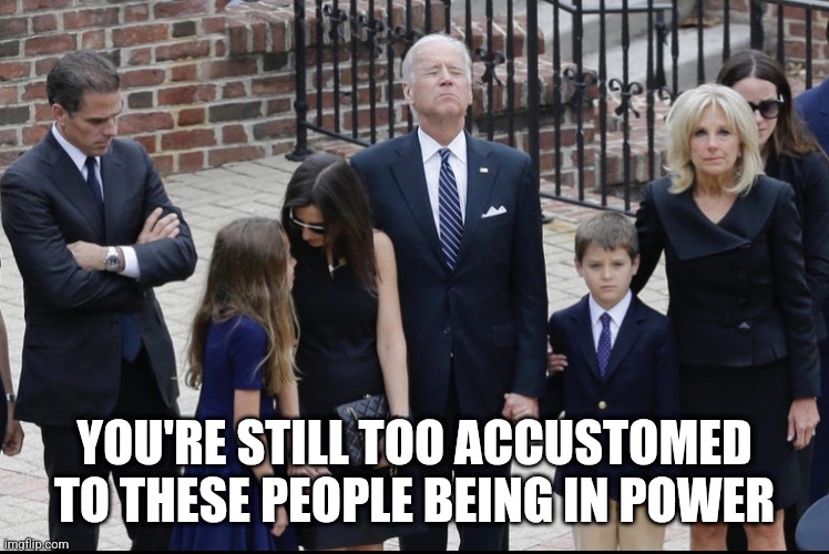 Biden Crime Family | YOU'RE STILL TOO ACCUSTOMED TO THESE PEOPLE BEING IN POWER | image tagged in biden crime family | made w/ Imgflip meme maker