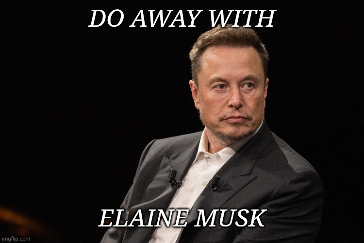 ELAINE | DO AWAY WITH; ELAINE MUSK | made w/ Imgflip meme maker