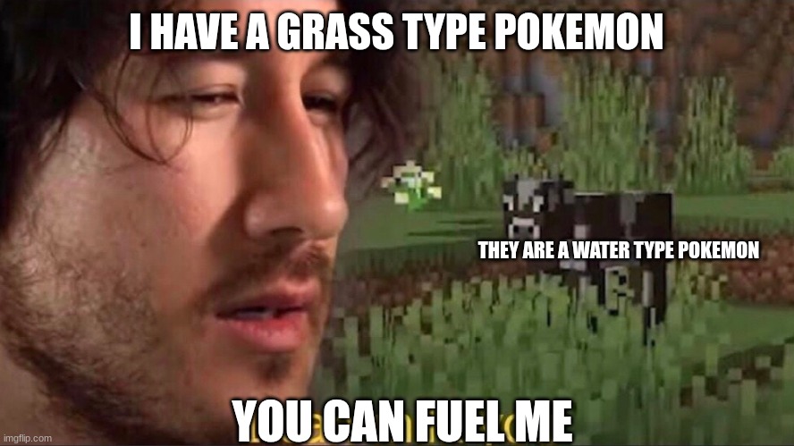 You can fuel me... | I HAVE A GRASS TYPE POKEMON; THEY ARE A WATER TYPE POKEMON; YOU CAN FUEL ME | image tagged in i can milk you template | made w/ Imgflip meme maker