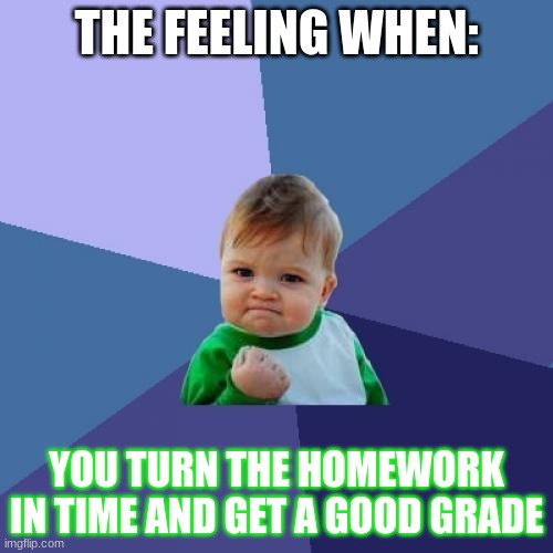 Homework | THE FEELING WHEN:; YOU TURN THE HOMEWORK IN TIME AND GET A GOOD GRADE | image tagged in memes,success kid,homework,good grade | made w/ Imgflip meme maker