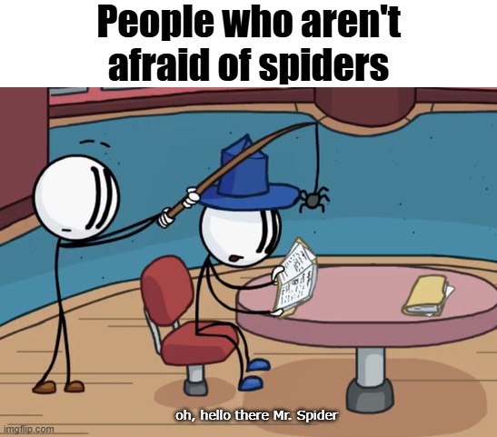 People who aren't afraid of spiders oh, hello there Mr. Spider | made w/ Imgflip meme maker