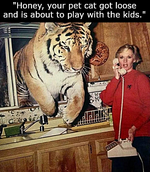 Pet Cats | "Honey, your pet cat got loose and is about to play with the kids." | image tagged in memes,cats,tigers,kids | made w/ Imgflip meme maker